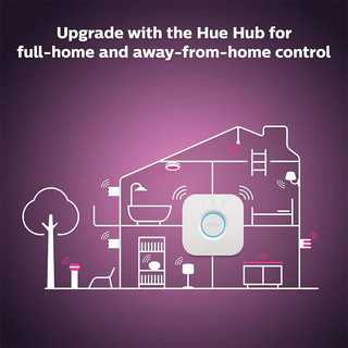 飞利浦（Philips） Hue Iris 智能台灯白色和彩色氛围 LED 变色灯 智能控制 White Hue Iris