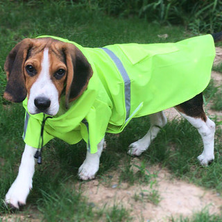 尛宝宠物狗狗雨衣防水服中型大型犬金毛萨摩柴犬雨天衣服两脚防水雨披 蓝色雨衣 S【体重2斤-4斤】