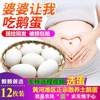 百世富泽（BAISHIFUZE）【百世富泽】黄河滩大鹅蛋新鲜正宗土鹅蛋农家自养孕妇超大鹅蛋 12枚130-150克