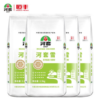 河套 雪10kg（2.5kg*4)小麦粉多用途粉包子面条馒头披萨粉中华老字号