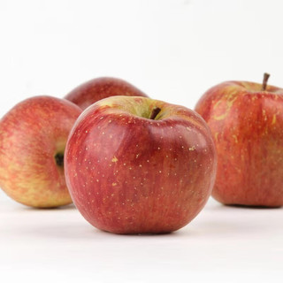 国产丑苹果  中果 净重4.5斤 9-15粒简装