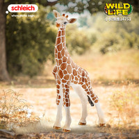 Schleich 思乐 小长颈鹿14751仿真动物模型野生动物园儿童玩具 鹿