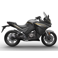 赛科龙 RG401运动旅行摩托车 钨钢哑灰 运动版 全 款