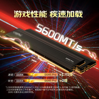 Crucial 英睿达美光台式机电脑内存条DDR4 DDR5 Pro 32G(16x2) 5600套装