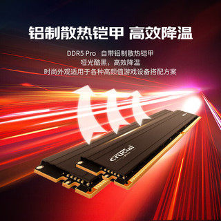 Crucial 英睿达美光台式机电脑内存条DDR4 DDR5 Pro 32G(16x2) 5600套装