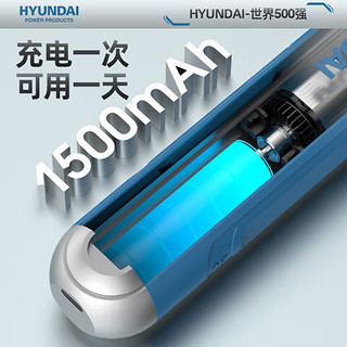 HYUNDAI电动螺丝刀充电式家用小型电钻螺丝批迷你起子机工具套装 【电工专业款】标配