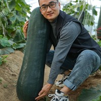 寿禾黑皮大冬瓜种子冬瓜苗巨型特大良种家庭种植春季播种南北方蔬菜瓜 寿禾广东黑皮大冬瓜种子5g约60粒