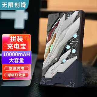 无限创燥 THE LAB 无限创燥 PZ-011 移动电源 仙鹤 御模道 10000mAh Type-C 22.5W