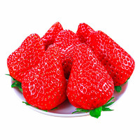 钱小二 丹东大草莓 1斤单果25-40g+空运
