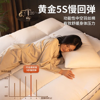 无印良品酒店风床垫被褥铺底垫被冬季加厚家用双人床褥垫子1.8x2米 字母款【高弹纤维填充】