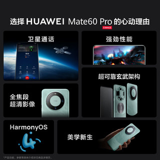 华为（HUAWEI）手机 Mate 60 Pro 12GB+512GB 雅丹黑【2年电池换新套装】