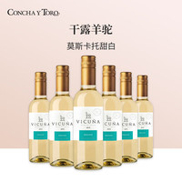红酒世界 干露羊驼莫斯卡托甜白葡萄酒 智利原瓶 375ml 【整箱6支】