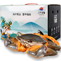 掌昕鲜 三门青蟹 大公蟹（8-9两/只）1只 生鲜活螃蟹海鲜水产春节年货盒