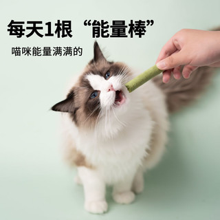 巧小熊 猫草磨牙棒猫咪零食化毛球温和排毛即食幼成猫洁齿宠物零食