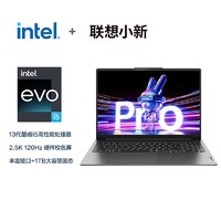 Lenovo 联想 2023款 小新Pro16 i5-13500H-锐炬Xe显卡 16英寸笔记本电脑