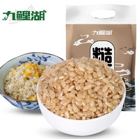 九鲤湖 糙米5斤新米东北糙米饭健身玄米粗粮糙米五谷杂粮胚芽饭