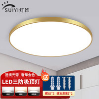 岁艺 SHUIYI三防吸顶灯LED超薄卧室灯具卫生间灯走廊过道灯金边48W白光