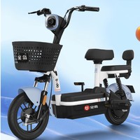 BAODAO 宝岛 新国标电动车48V20AH可上牌电动自行车电瓶车