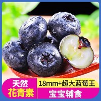本来果坊 云南蓝莓6盒装15mm+鲜果大果