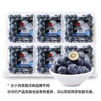 百亿补贴：本来果坊 云南蓝莓6盒装15mm+鲜果大果高山现摘当季孕妇新鲜水果整箱批发