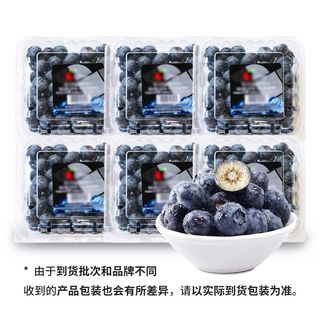 云南蓝莓6盒装15mm+鲜果大果