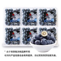 本来果坊 云南蓝莓6盒装鲜果大果高山现摘当季新鲜水果整箱