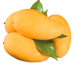 【省62元】鲜其芒果_鲜其 海南金煌芒果 9斤爆甜整箱多少钱-什么值得