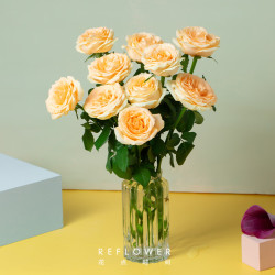 reflower花点时间香槟玫瑰花鲜花云南昆明基地直发鲜切花插花鲜花送