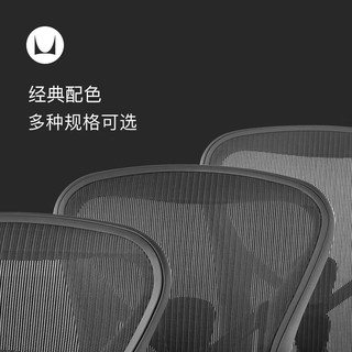 赫曼米勒（HERMAN MILLER）Aeron座椅 石墨色标准款尼龙底座人体工学椅 办公椅电脑椅 90-120度(含) 升降扶手 小号