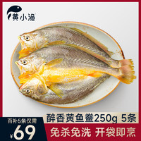 黄小渔 醉香黄鱼鲞250g*5条（净重1.25kg）大黄花鱼生鲜水产鱼类源头直发