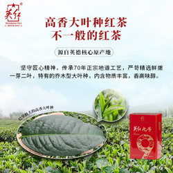 YINGHONG TEA 英红 牌红茶英德红茶英红九号浓香型茶叶共250g