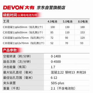 大有（Devon）20V无刷充电电锤锂电锤冲击钻打混凝土5401机头