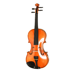SEENWINS/圣维斯 SW008欧料纯手工小提琴儿童考级成人演奏乐团比赛