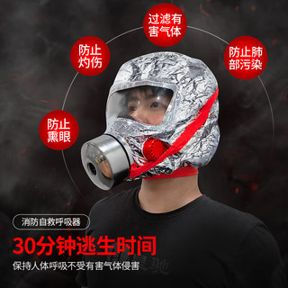 皇驰 防毒面具消防面具防烟防火面罩逃生过滤式消防自救呼吸器TZL30一件