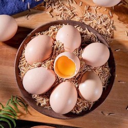小蛋佳 农家鲜鸡蛋 30枚1.5kg