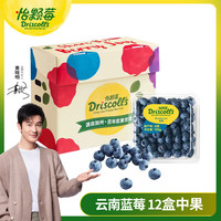 怡颗莓 5号0点：Driscoll’s  怡颗莓云南蓝莓 原箱12盒礼盒装 125g/盒