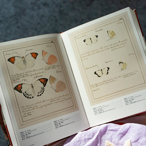 《蝴蝶圣经：牛津大学典藏图谱》（赠蝴蝶书签）