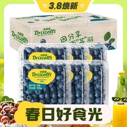 怡颗莓 Driscoll's 云南蓝莓 6盒礼盒装 125g/盒 新鲜水果礼