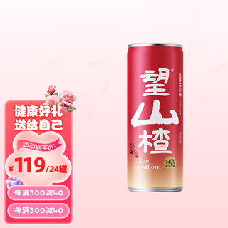 HOPE WATER 好望水 望山楂 果汁气泡水 解腻饮料饮品 原果熬制果蔬汁0脂肪一瓶约含4颗山楂330ml*24瓶 送礼 铝罐装整箱