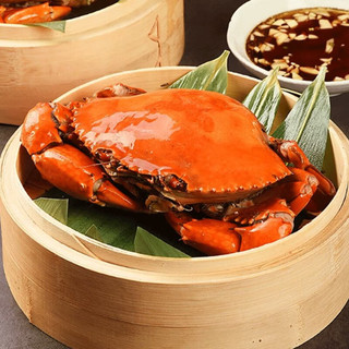 【活鲜】渔传播 同城速配 鲜活南宁青蟹4-5两/只 合计4只 螃蟹水产生鲜