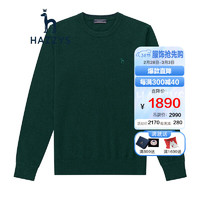 哈吉斯（HAZZYS）男装春秋保暖毛衣软糯轻奢混纺羊绒衫ABYZD02DD22 深绿色DG 175/96A 48