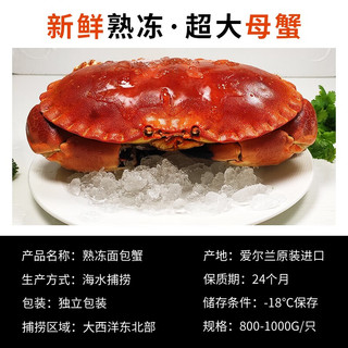 鲟食 面包蟹超大英国原装熟冻进口 全母膏蟹大螃蟹黄道蟹海鲜水产 800-1000g/只
