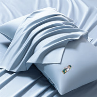 TEENIE WEENIE小熊全棉枕套一对装成人家用100支贡缎单人宿舍枕头套纯棉48*74cm camping-climbing-B01夏天蓝 48cm*74cm(一对装)