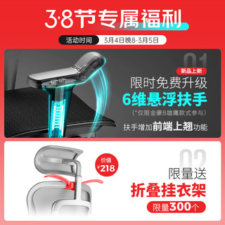 保友办公家具（Ergonor） 金豪b2/雄鹰 人体工学椅 电脑椅 电竞椅办公椅子老板椅可躺座椅 【金豪b雄鹰】银白网