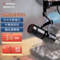 圆刚（AVerMedia） AM330麦克风动圈式专业主播话筒音棚级人声录制广播电台配音直播设备套装 基础套装一：麦克风+悬臂式支架+3.5mm转接线