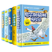 【全彩注音版】精装硬皮5大册国际大儿童文学套装5册  注释