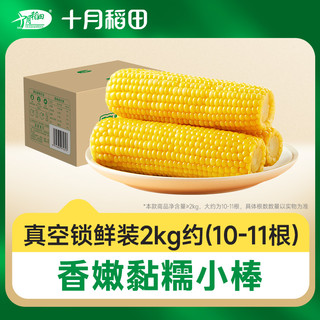 十月稻田 东北小棒粘黏 2kg