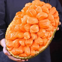 果园密码 泰国红肉菠萝蜜整个大果新鲜热带水果菠萝