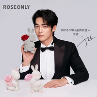 ROSEONLY 诺誓 永生花玫瑰甜心兔告白熊独角兽守爱狗嘻嘻猫送女友生日情人节礼物 唯爱独角兽-红色-中号