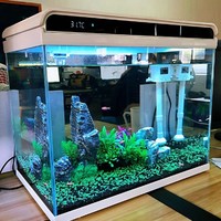 SUNSUN 森森 超白玻璃小鱼缸客厅 小型桌面家用水族箱 生态免换水金鱼缸